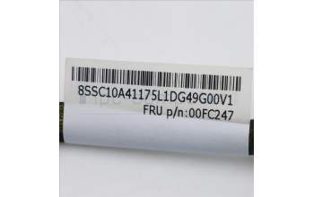 Lenovo 00FC247 CABLE MB to 16HDD BP Power cab