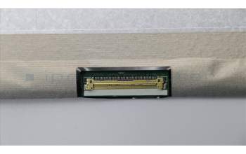 Lenovo 00NY651 DISPLAY AUO15.6UHD IPS AG for