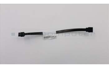 Lenovo CABLE Fru175mmSATA cable 1 latch para Lenovo ThinkCentre M910q (10MU/10MX/10QN/10MV/10MW)