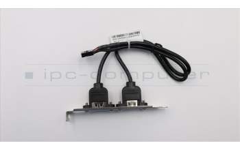 Lenovo CABLE Fru 300mm Rear USB2 HP cable para Lenovo ThinkCentre M900x (10LX/10LY/10M6)