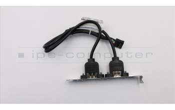 Lenovo CABLE Fru 300mm Rear USB2 HP cable para Lenovo ThinkCentre M910q (10MU/10MX/10QN/10MV/10MW)