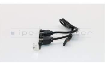 Lenovo CABLE Fru 300mm Rear USB2 HP cable para Lenovo ThinkCentre M900x (10LX/10LY/10M6)