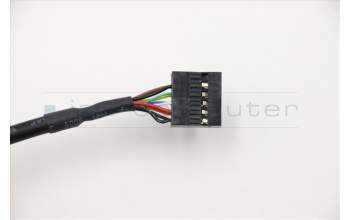 Lenovo CABLE Fru 200mm Rear USB2 LP cable para Lenovo ThinkCentre M715t (10MD/10ME)