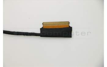 Lenovo CABLE SATA Cable para Lenovo ThinkPad T570 (20H9/20HA/20JW/20JX)