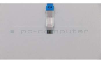 Lenovo CABLE FPR FFC Cable para Lenovo ThinkPad P1 Gen 3 (20TH/20TJ)