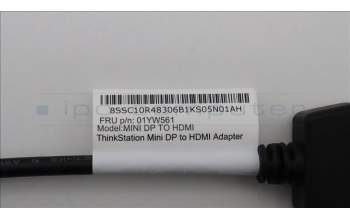 Lenovo CABLE mini Display Port to HDMI Dongl para Lenovo ThinkStation P340 (30DH)