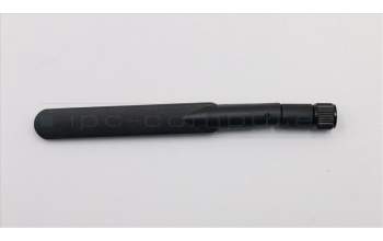 Lenovo CABLE Dual-band dipole antenna 5GHZ para Lenovo ThinkStation P330 (30C7/30C8)