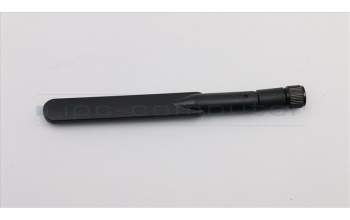 Lenovo CABLE Dual-band dipole antenna 5GHZ para Lenovo ThinkCentre M900x (10LX/10LY/10M6)