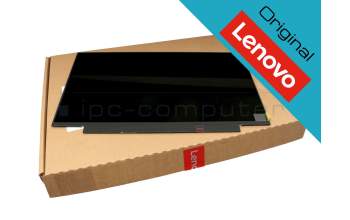 02DA381 Lenovo original IPS pantalla FHD mate 60Hz (altura 19,5 cm)