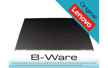 DY057R 100Hz IPS Pantalla (1920x1080) mate b-stock