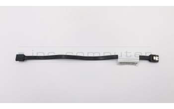 Lenovo 31043145 CABLE LX 250mm SATA cable 2 latch