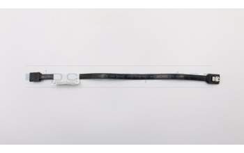 Lenovo CABLE LX 250mm SATA cable 2 latch para Lenovo H515 (90A4)