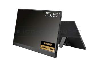 Pantalla portátil 15.6 WQHD USB-C/HDMI para Apple MacBook Pro M1 Max (14" 2021 - Z15G00098)