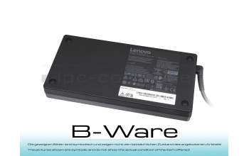 NTL30R Cargador 300 vatios masivo b-stock