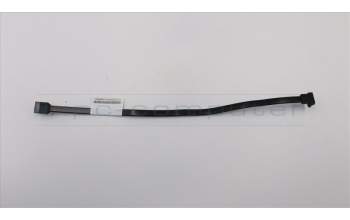 Lenovo FRU SATA cable_R_300mm with para Lenovo ThinkCentre M900x (10LX/10LY/10M6)