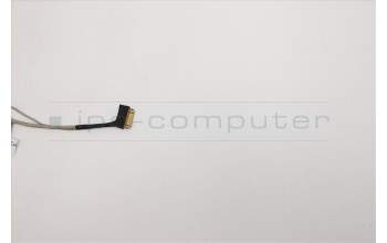 Lenovo CABLE LCD Cable W 81VS para Lenovo IdeaPad 1-14IGL05 (81VU)