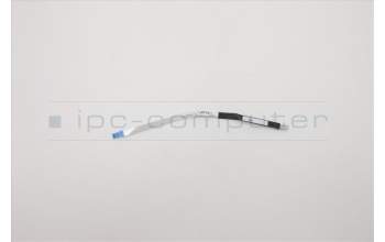 Lenovo CABLE FP board Cable L 81WA para Lenovo IdeaPad 3-14IGL05 (81WH)