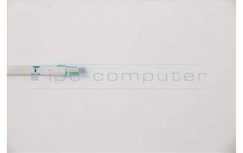 Lenovo CABLE Mic Cable L 82AW para Lenovo Legion 5P-15IMH05H (82AW)