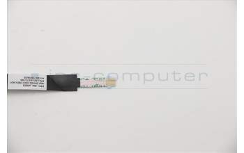 Lenovo CABLE Smart Card Cable FFC para Lenovo ThinkPad L13 (20R3/20R4)