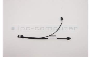 Lenovo CABLE Fru210mm Slim ODD SATA &PWR cable para Lenovo ThinkCentre M80t (11CS)