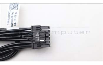 Lenovo 5C10U58769 CABLE Fru16p to Dual 8p 550mm