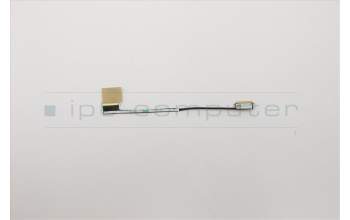 Lenovo CABLE Cable-Coax,LCD,FHD para Lenovo ThinkPad X1 Carbon 7th Gen (20R1/20R2)