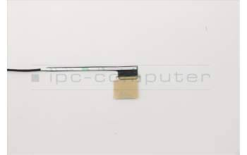 Lenovo CABLE Cable-Coax,LCD,FHD para Lenovo ThinkPad X1 Carbon 8th Gen (20UA/20U9)