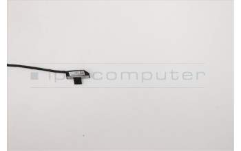 Lenovo CABLE FRU CABLE_EDP_RGB_Cable para Lenovo ThinkPad L14 Gen 1 (20U5/20U6)