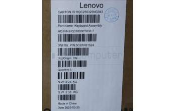 Lenovo 5CB1R61524 C-Cover with keyboard, German, Luna Grey, FingerPrint, Non-Puresight Logo, UK