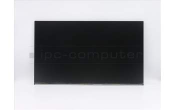 Lenovo 5D10W33950 DISPLAY INX M238HCR-L3B-C1