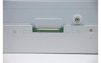 Lenovo 5D10W33950 DISPLAY INX M238HCR-L3B-C1