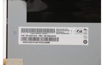 Lenovo 5D10W33972 DISPLAY AUO 19.5W TN M195RTN01.0LEF