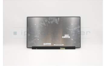 Lenovo 5D11A08809 Lenovo LCD Module,15.6\",FHD,Non-Touch,Anti-Glare,IPS,300nit,Color Calibration