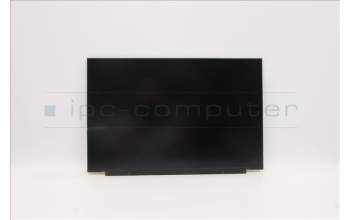 Lenovo 5D11B02428 DISPLAY FRU AU B160QAN02.H 0A 2.5K AG