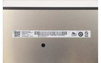 Lenovo 5D11B02428 DISPLAY FRU AU B160QAN02.H 0A 2.5K AG