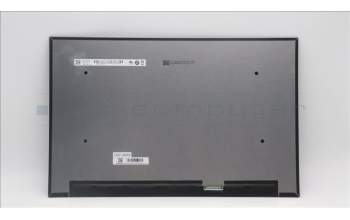 Lenovo 5D11L55824 DISPLAY FRU B160QAN04 16 3.2K ColorAUO