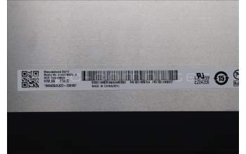 Lenovo 5D11M52517 DISPLAY FRU AUO B160UAN04.H HW