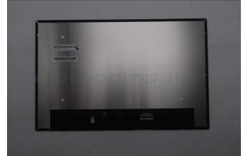 Lenovo 5D11P79776 DISPLAY IVO M160NW49 R0 HW1.1 16.0 WUX