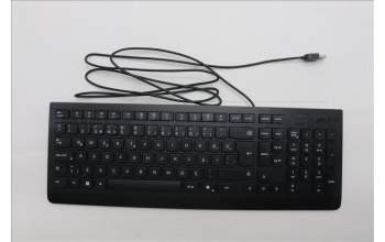 Lenovo 5D50U84746 AI Keyboard External,USB,Turkish 179,Black