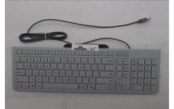 Lenovo 5D50U84901 Keyboard External, USB, US English Euro, Cloud Grey