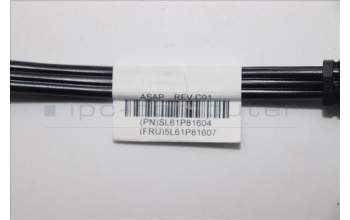 Lenovo 5L61P81607 LINECORD Fru, US/CA,1M,3P,NON-LH