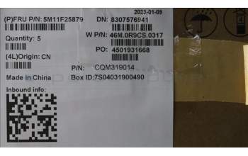 Lenovo 5M11F25879 MECH_ASM KBD SPA w/C Cov,WFC Chicony