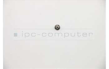 Lenovo 5S10S35171 SCREW Screw L 81TCMM2.5D4.5LK5.5DNINL+