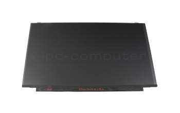 Acer Predator Helios 300 (PH315-51) original IPS pantalla FHD (1920x1080) mate 144Hz (con soporte)