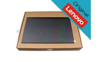 Alternativa para Lenovo SD11F50181 IPS pantalla (1920x1200) mate 165Hz