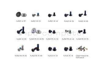 Caja surtida de tornillos para portátiles 300 unid para Nexoc B1511 (N751WU)