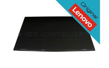 Lenovo 01EF713 original TN pantalla FHD (1920x1080) mate 60Hz