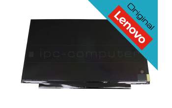 Lenovo IdeaPad 1-11IGL05 (81VT) original TN pantalla HD (1366x768) mate 60Hz