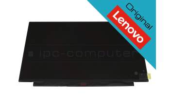 Lenovo SD10S72065 original TN pantalla HD (1366x768) mate 60Hz