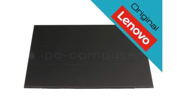 Lenovo ThinkPad P14s G5 (21ME) original toque IPS pantalla WUXGA (1920x1200) mate 60Hz